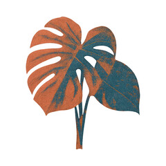 Obraz premium PNG Abstract monstera leaf illustration