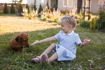 three year old girl, playing with her dog dachshund on a green grass in a park