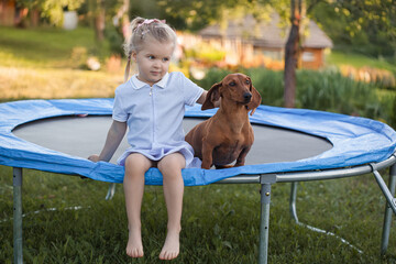 a three year old smiling girl sitting with dachshund dog on trampoline in green sunny summer park