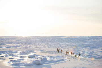 Winter sea and drift ice in Shiretoko, Hokkaido © 友美 湯山