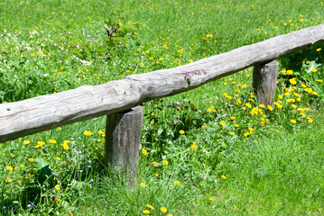Rustic wooden bench in a green meadow filled with wildflowers and grass, captured on a sunny spring or summer day, symbolizing peace, simplicity and nature.