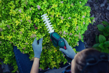 gardener trimming bush with electric shears in garden