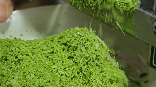 Green Tea Binsu. Korean Dessert.