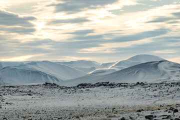 View of a serene, snow-covered landscape reveals rolling hills under a soft, diffused sky, casting long shadows across the pristine white expanse, Rejkjahlid, North Iceland, Iceland.