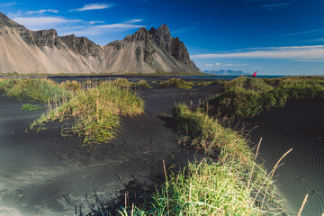 View of the majestic Vestrahorn mountain rising from black sands and contrasted by vibrant green grasses under a blue sky, Hofn, Eastfjords region, Iceland.