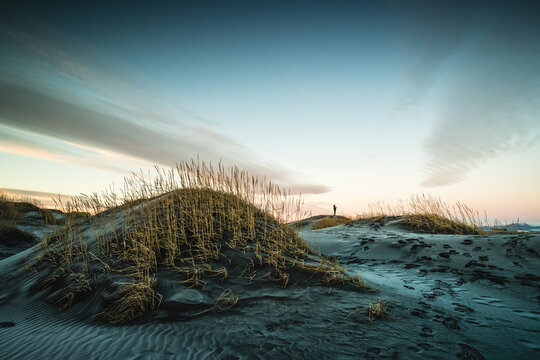 View of windswept dunes, their golden grasses catching the fading light under a vast sky, a solitary figure standing in the distance, Hofn, Iceland.