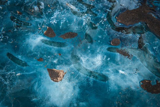 View of sapphire ice cave with blue textures contrasting with dark sand, a frozen symphony under the Vatnajokull glacier, Vatnajokull, Iceland.