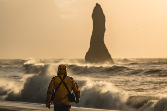 View of a lone figure in a yellow jacket facing the raging waves and the towering basalt sea stacks at Reynisfjara beach, Vik, Iceland.