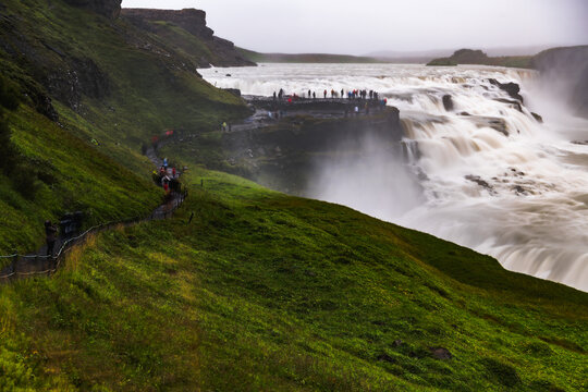 View of the Gullfoss waterfall cascades with powerful force, its water a stark contrast to the verdant green slopes, Haukadalur valley, Southwestern Iceland, Iceland.