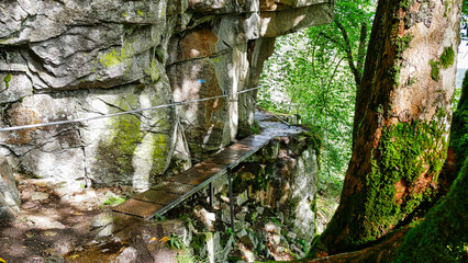 Auf dem Wanderweg Sentier des Roches (Felsenpfad) am Col de la Schlucht im Elsass
