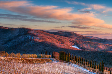 Snowy Chianti Vineyards and Cypresses at Sunset, Radda in Chianti, Tuscany