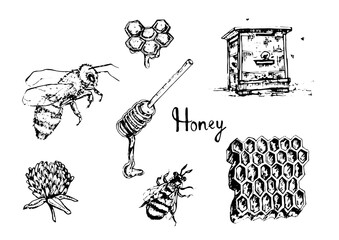 set of hand drawn illustrations