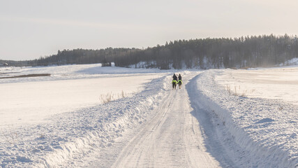 Cold winter landscape with snow and frost