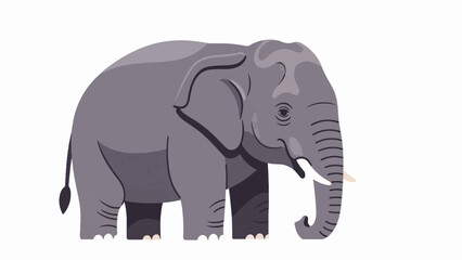 Obraz premium A large gray elephant with a trunk, tusks, and large ears stands on a white background