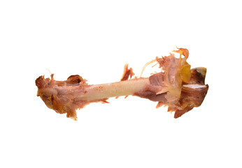 chicken bone isolated on white background