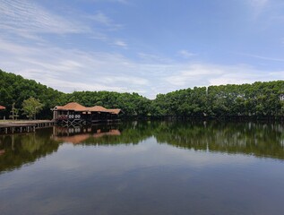 Obraz premium The advantages of Semarang mangrove tourism are for environmental education, coastal conservation, and family recreation with attractive facilities, such as contemporary photo spots, local culinary de