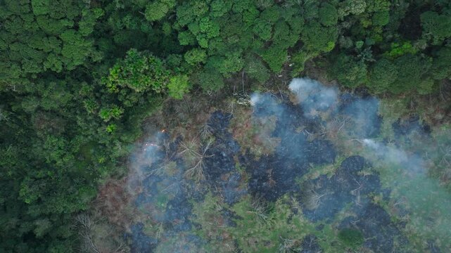 Aerial top-down view of wildfire encroaching on tropical jungle