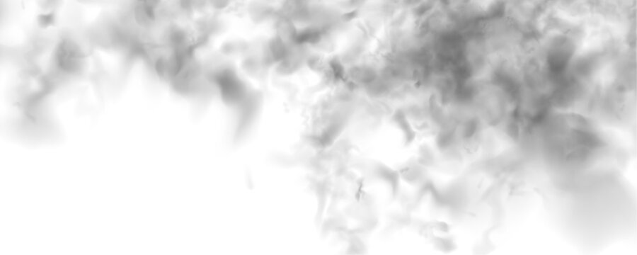White steam rising and curling over a white background. Realistic smoke, fog, and cloud textures in 3D rendering style. Cutout smoke and cloud PNG for digital use vector.