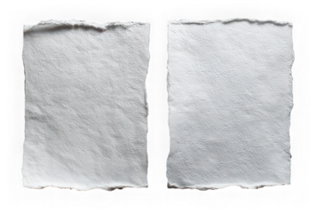 Torn paper edge textured sheet isolated transparency background rough border blank handmade stationery empty craft vintage realistic Torn paper edge textured sheet isolated transparency background