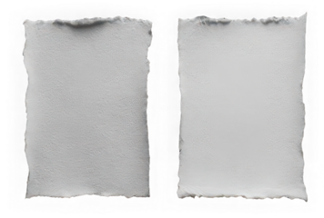 Torn paper edge textured sheet isolated on transparent background blank rough border white empty stationery vintage craft artistic creative design