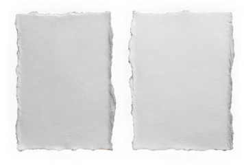 Torn paper edge white textured sheet isolated on transparent background rough border blank stationery empty space creative design artistic realistic vertical layout