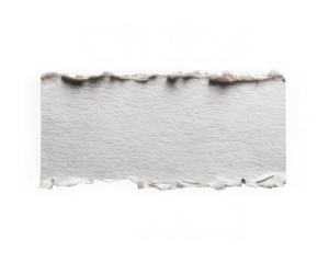 Torn paper edge white paper isolated transparent background rough texture ripped rectangle blank empty scrap design element copy space