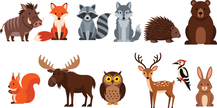 Woodland forest animal collection set with wild boar fox raccoon wolf porcupine bear squirrel moose owl deer woodpecker and rabbit