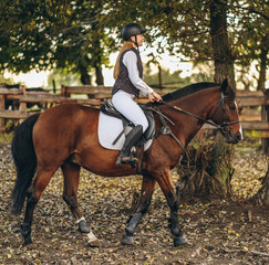 Fototapeta premium A young beautiful woman jockey is preparing for a show jumping competition. A woman rider rides a brown racehorse.