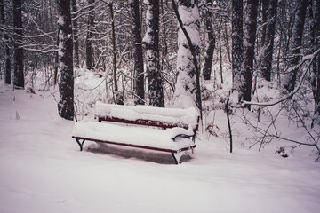 ławka,park,zima  © Marcin Łazarczyk