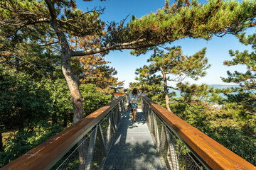 Wooden sky walk viewpoint above Lake Balaton with forest scenery, elevated walkway, and panoramic views creating a scenic outdoor attraction in a natural landscape of Hungary