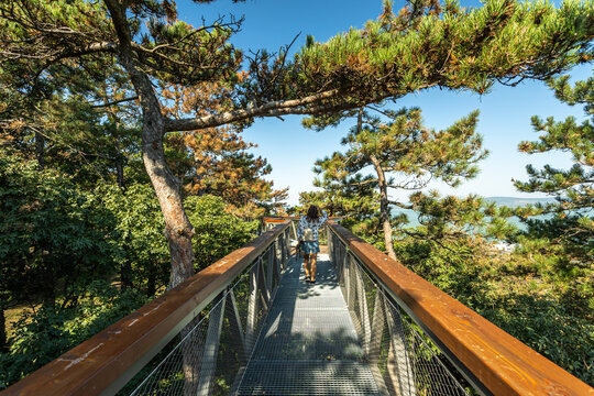 Wooden sky walk viewpoint above Lake Balaton with forest scenery, elevated walkway, and panoramic views creating a scenic outdoor attraction in a natural landscape of Hungary