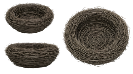 Three brown bird nests isolated on transparent background