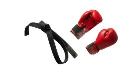 Red Boxing Gloves and Black Martial Arts Belt on White Background
