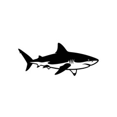 Obraz premium Fierce Shark Silhouette on White Background 