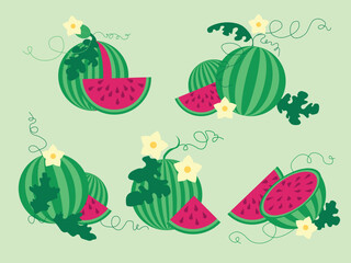 Isolated set of hand drawn watermelon. Floral print. Sketch color juicy watermelons , slices, blossoms. Exotic tropical fresh fruit. Vector cartoon minimalistic flat style illustration. Doodle pattern