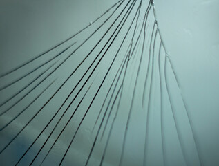 Cracked mirror symbolizing broken identity and emotional damage.Single teardrop on glass symbolizing emotional pain and sorrow.