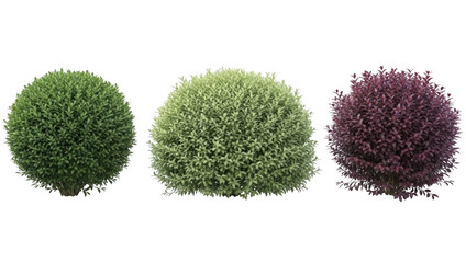Collection of vibrant green and burgundy spherical shrubs isolated on transparent background