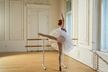 Young ballerina in tutu skirt stretching practicing ballet positions dancing near ballet barre in dance class. Young classical dancer woman in dance studio. Ballet class training Ballet school concept
