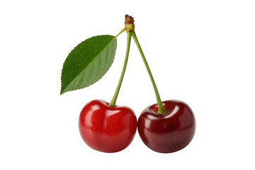 Isolated Close-up Studio Shot of Two Shiny Red Cherries on a Single Stem with a Leaf Against a White Background
