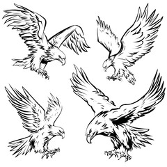 Obraz premium Soaring eagles a collection of vector illustrations in dynamic poses