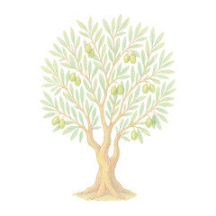 Obraz premium PNG Hand-drawn olive tree illustration.