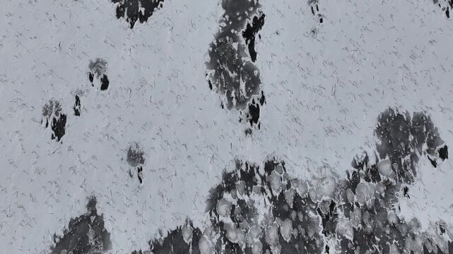 남양주 다산생태공원