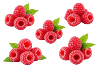 Fresh, ripe, plump crimson red raspberries with glistening water droplets and green leaves, arranged on a transparent background with copy space, concept for healthy food advertising