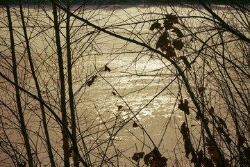 zalew,zima  © Marcin Łazarczyk