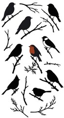 Winter's Silent Chorus