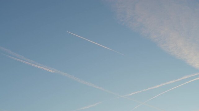 Sunset sky with multiple contrails of airplanes in summer
