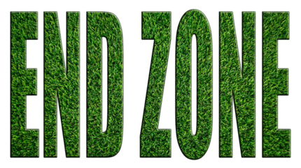 End Zone in a grassy style, a field concept design