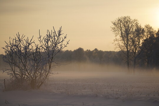 Feld im Nebel am Abend
