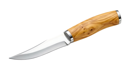 Handcrafted wooden handle knife with a gleaming steel blade and metal accents, ideal for outdoor adventures