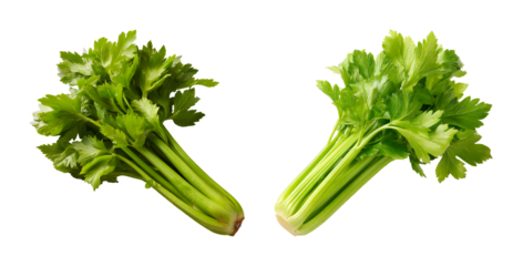 Fresh Celery Stalk Isolated on Transparent Background PNG set with transparent background